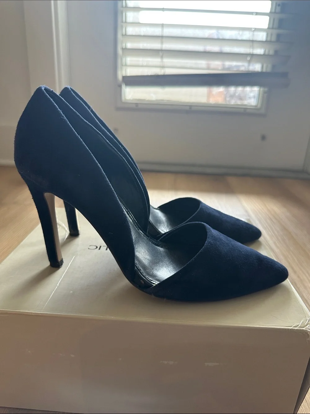 Banana Republic Pointed Toe Pumps in Navy